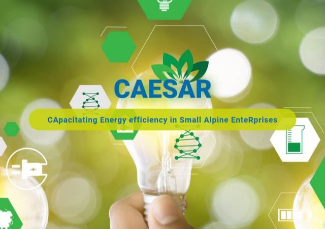 Primo workshop del progetto "CAESAR: Promuovere l'efficienza energetica nelle piccole imprese alpine"